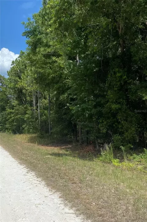 Sooty Tern Lot 2 Avenue, Weeki Wachee, FL 34614
