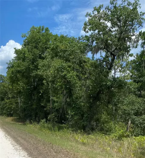 Sooty Tern Lot 3 Avenue, Weeki Wachee, FL 34614