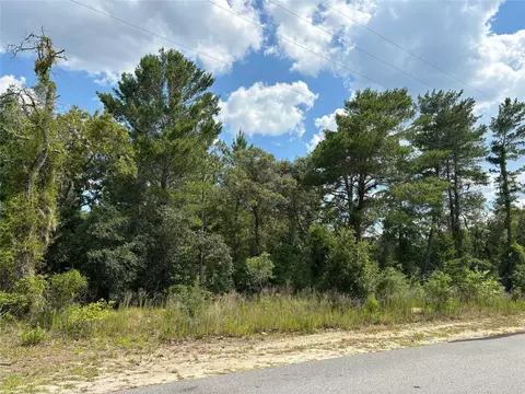 13084 Antelope St, Spring Hill, FL 34609