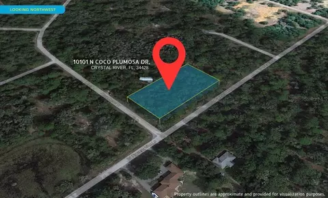 10101 N Coco Plumosa Dr, Crystal River, FL 34428