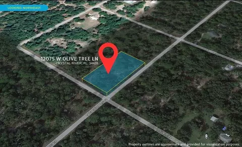 12075 W Olive Tree Ln, Crystal River, FL 34428