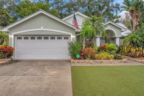 719 Wildflower Dr, Palm Harbor, FL 34683