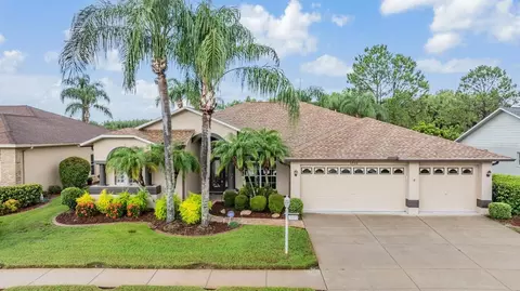 1706 Winding Willow Dr, Trinity, FL 34655