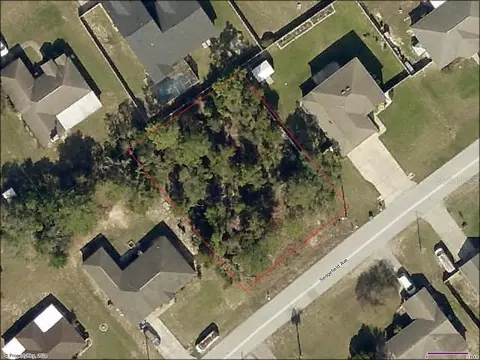 11151 Sedgefield Ave, Spring Hill, FL 34608