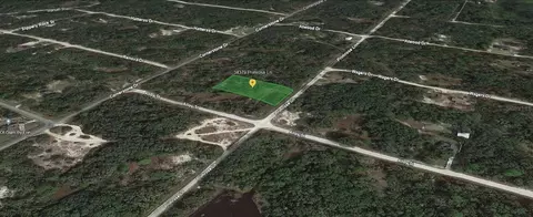 34379 Primrose Ln, Webster, FL 33597