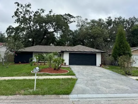 2365 Windsor Oaks Ave, Lutz, FL 33549