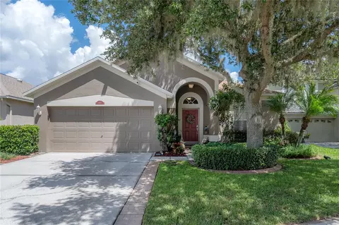 1327 Brooke View Dr, Odessa, FL 33556