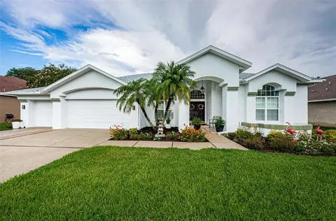 8015 Maidencane Dr, Trinity, FL 34655