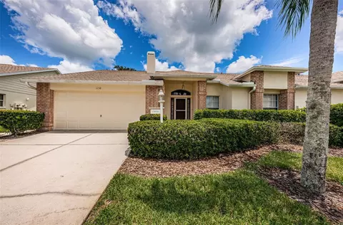 1136 Flora Vista St, Trinity, FL 34655