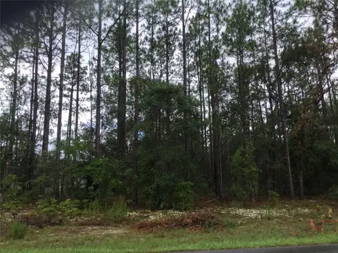 1420 W Japonica Pl, Dunnellon, FL 34434