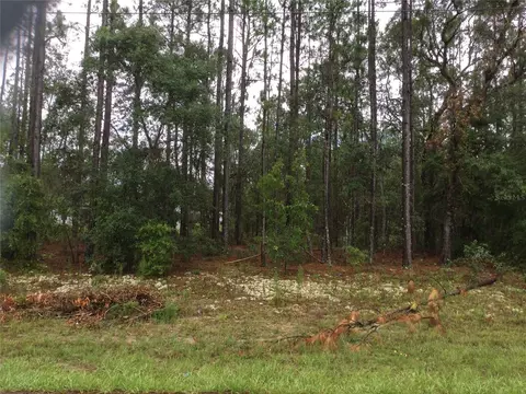 1436 W Japonica Pl, Dunnellon, FL 34434