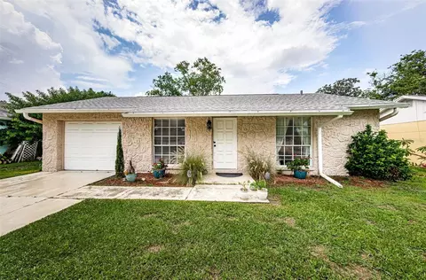 3117 Loomis Dr, New Port Richey, FL 34655