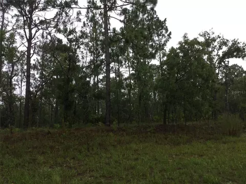 2191 W Citrus Springs Blvd, Dunnellon, FL 34434