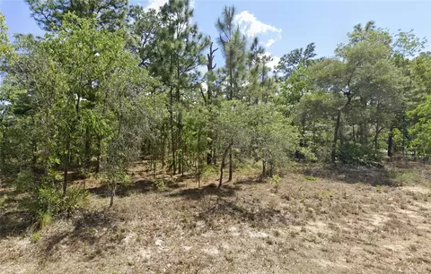 21 Carnation Ct, Homosassa, FL 34446