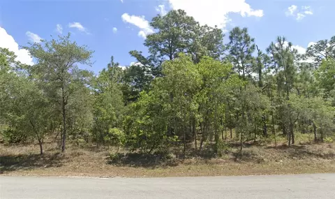 19 Carnation Ct, Homosassa, FL 34446