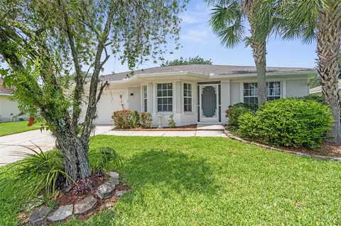 10152 Moshie Ln, San Antonio, FL 33576