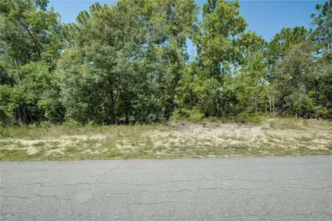 7 Candytuft Ct, Homosassa, FL 34446