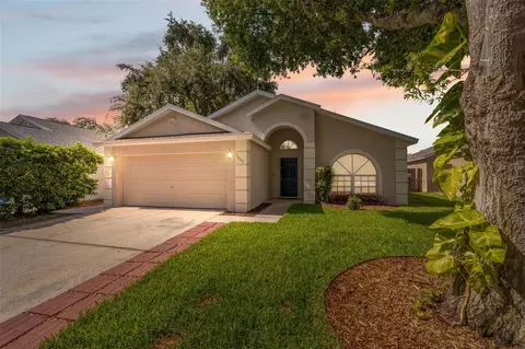 6803 Silver Branch Ct, Tampa, FL 33625
