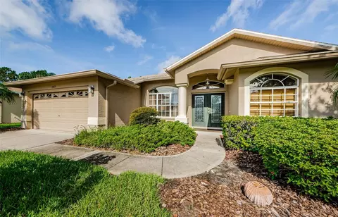 1425 Morning Rose Pl, Trinity, FL 34655