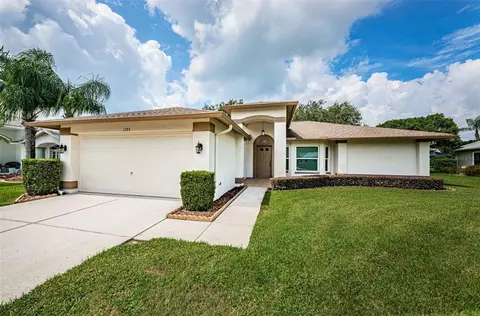 1353 Fallowfield Dr, Trinity, FL 34655