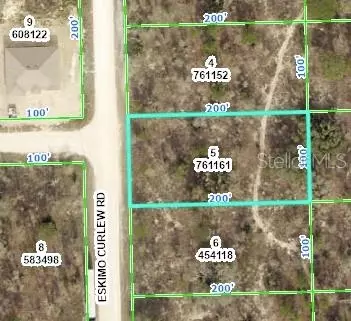 Eskimo Curlew Road, Weeki Wachee, FL 34614