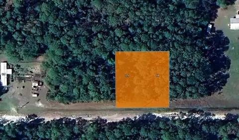 121 Mosswood St, Georgetown, FL 32139