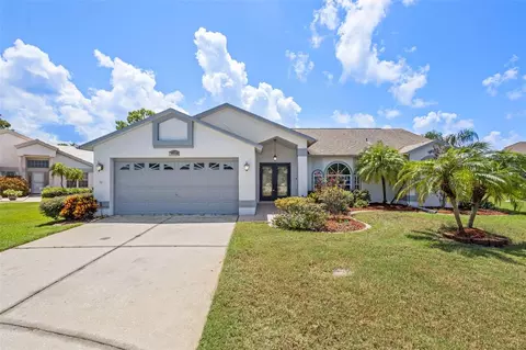 13635 Muffin Ct, Hudson, FL 34667