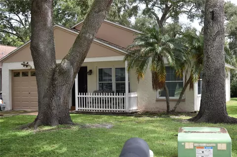 626 Bellingham Pl, Palm Harbor, FL 34684