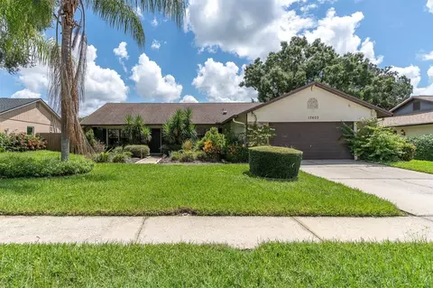 13603 Cozy Pl, Tampa, FL 33625