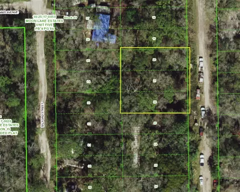 1 Webb St, New Port Richey, FL 34654