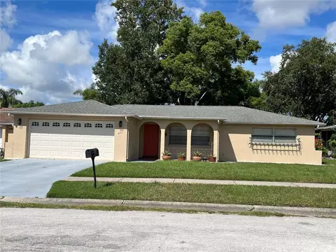 3411 Paloma Dr, Holiday, FL 34690