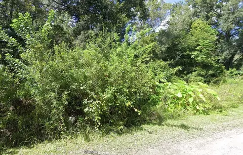 00 Webb St, New Port Richey, FL 34654