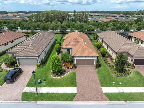 11243 Callisia Dr, Odessa, FL 33556