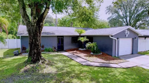 13917 Pathfinder Dr, Tampa, FL 33625