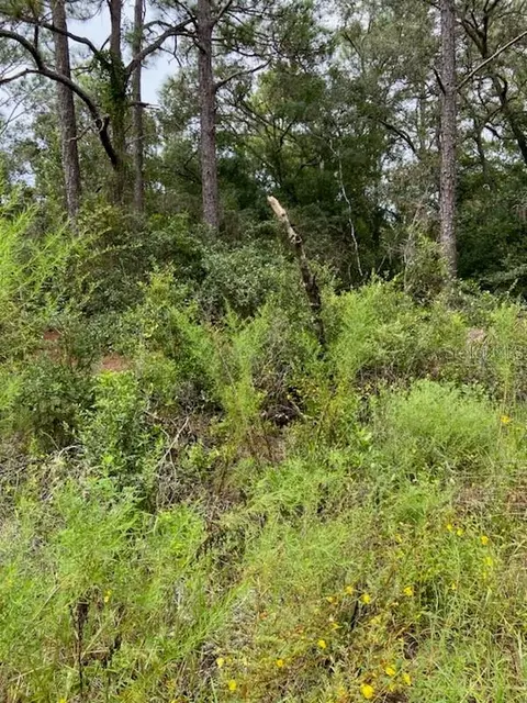 6364 E Seneca St, Inverness, FL 34452