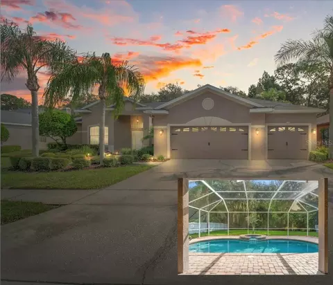 1204 Wyndham Lakes Dr, Odessa, FL 33556