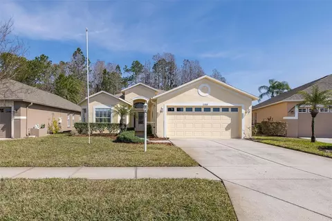 1153 Dustan Pl, Trinity, FL 34655