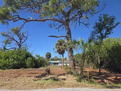 6313 Oelsner St, New Port Richey, FL 34652