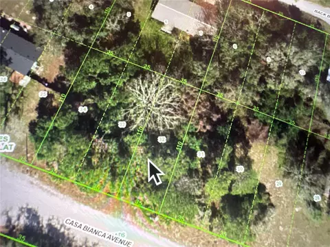 Casa Bianca Avenue, New Port Richey, FL 34654