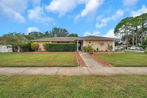 20 Woodcutter Ln, Palm Harbor, FL 34683