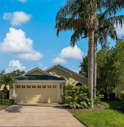 10223 Sorenstam Dr, Trinity, FL 34655