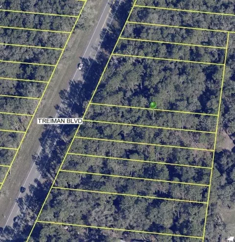 7284 Treiman Blvd, Webster, FL 33597