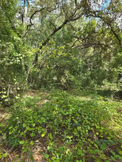 2524 Clearwood St, Inverness, FL 34452