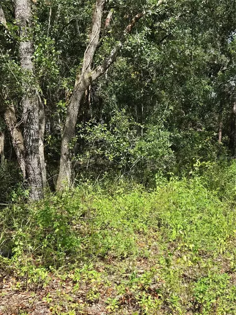 2532 Clearwood St, Inverness, FL 34452