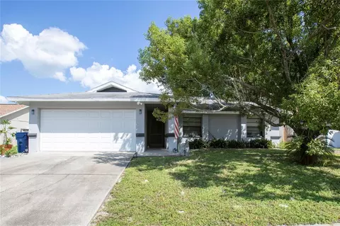 8102 Buttonball Ln, Port Richey, FL 34668