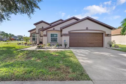 13931 Chandron Dr, Odessa, FL 33556