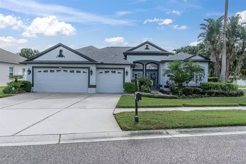 1516 African Violet Ct, Trinity, FL 34655