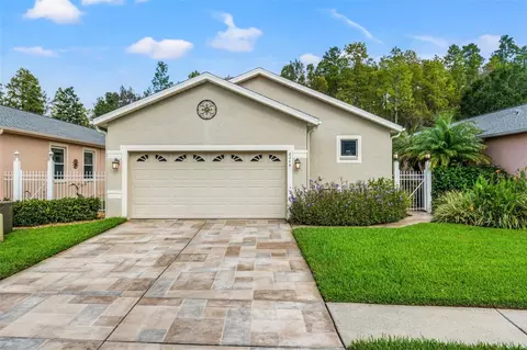8209 Ponkan Rd, Land O Lakes, FL 34637