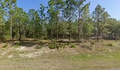 10157 W Donegal Ln, Crystal River, FL 34428
