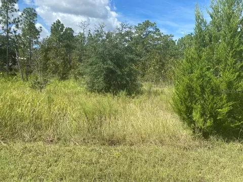 15361 Fleetwood Rd, Weeki Wachee, FL 34614